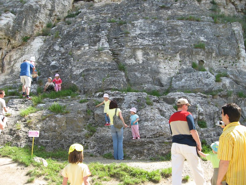 Akcie v MS   66.jpg